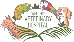 Our goal is to ensure our patients receive the best healthcare, which includes their diet. . Welleby vet